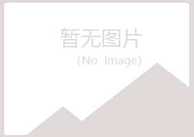 包头青山无果咨询有限公司